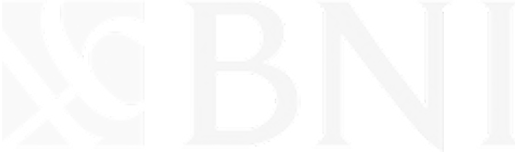BNI Logo